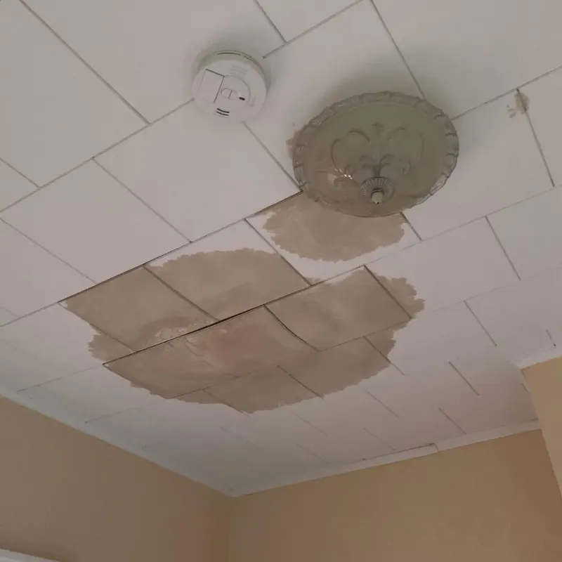 Ceiling Water Damage Repair in Medora, ND