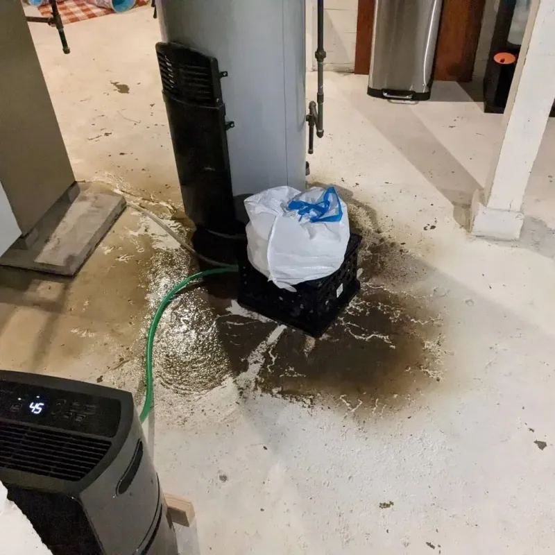 Sewage Backup Cleanup Service in Medora, ND